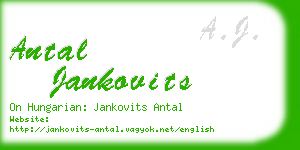 antal jankovits business card